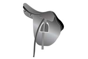 saddle