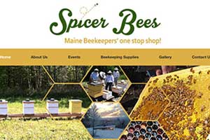 Spicer Bees